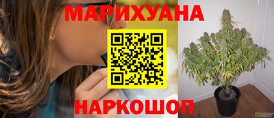 крисы Бугуруслан