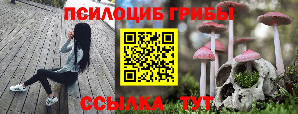 Галлюциногенные грибы Magic Shrooms  где купить наркоту  Орёл  Вход с VPN  Галлюциногенные грибы Psilocybe 